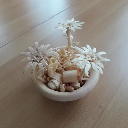 Sonnblick Kuschelsuite In Den Bergen Grosssolk