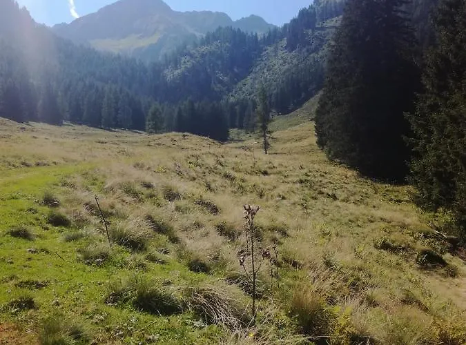 Appartement Sonnblick Kuschelsuite In Den Bergen Grosssolk